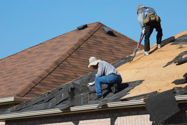 Best Roof Maintenance and Cleaning  in Ome, GA