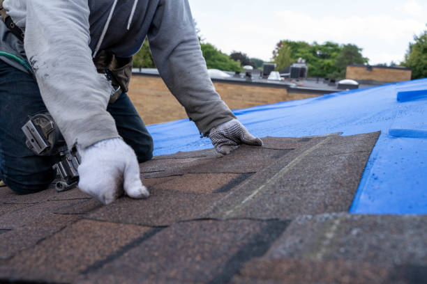 Best Roof Moss and Algae Removal  in Ome, GA